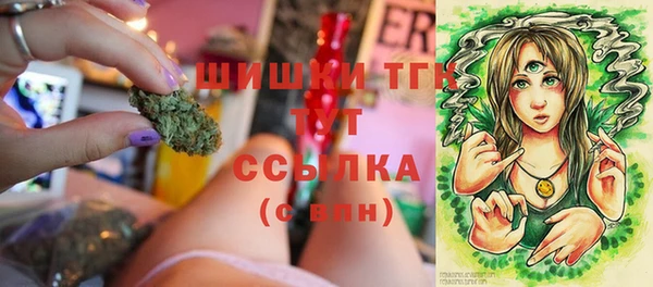 твердый Медногорск