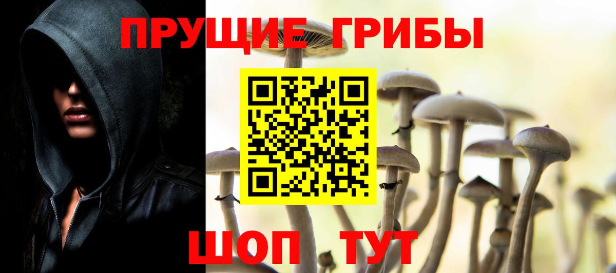Кашира  Галлюциногенные грибы MAGIC MUSHROOMS  Галлюциногенные грибы Cubensis  Вход с VPN 